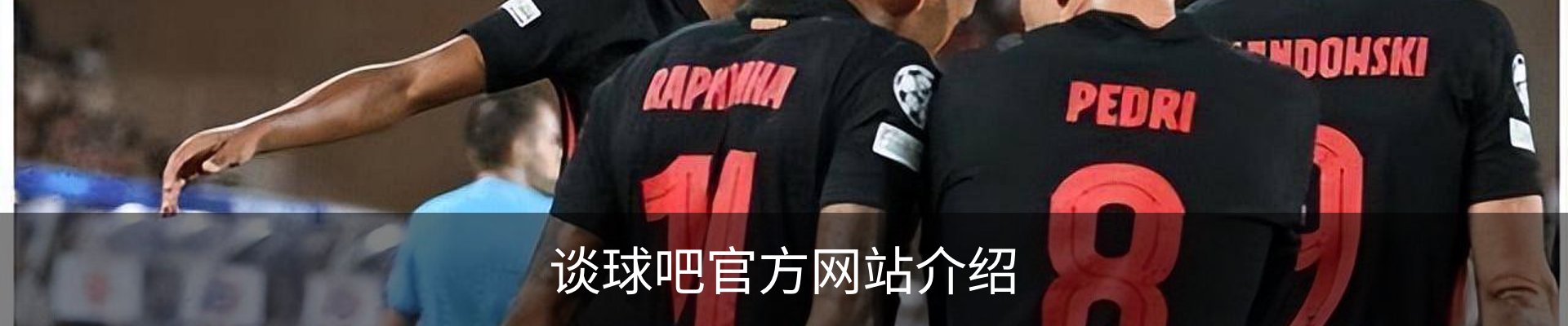 谈球吧官方网站介绍
